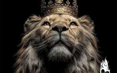 I will bless those who bless you and in curse those that curse you?